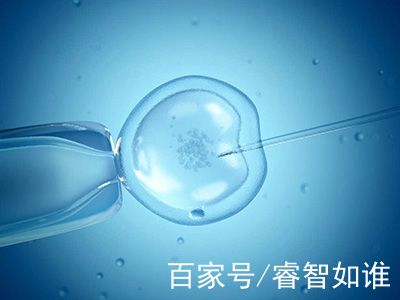当院について
